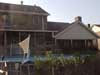 Out back by the pool